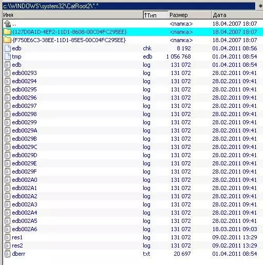 CatRoot2.webp