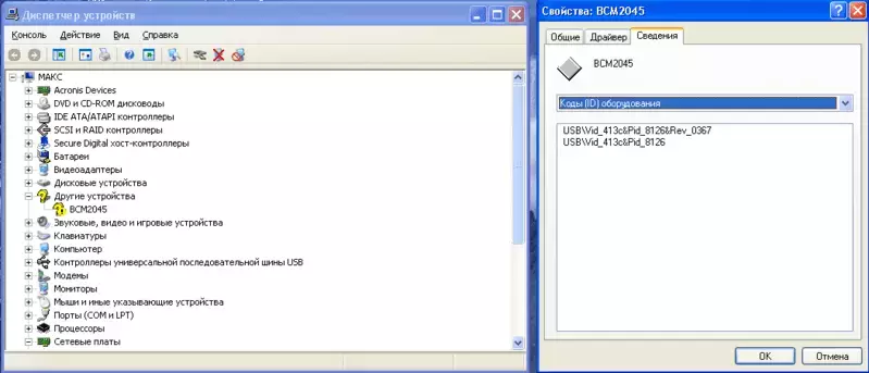 1.webp