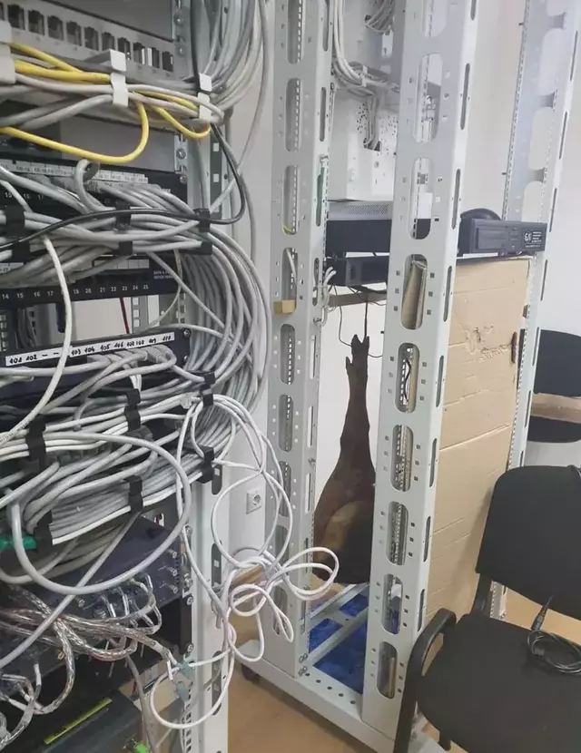 1749217993597.webp