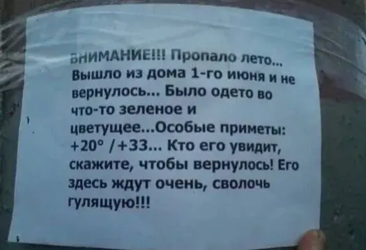 лето.webp