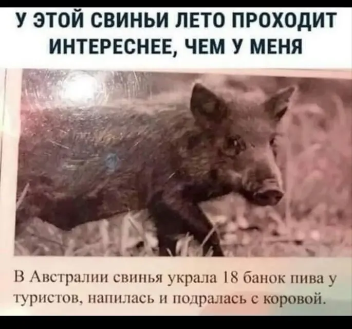 отдых 3.webp