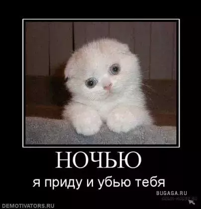 0000d00006.webp