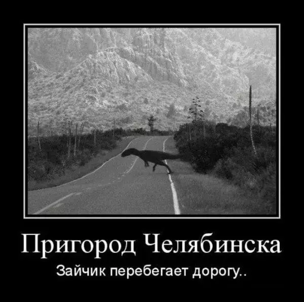 demotivator-0054.webp