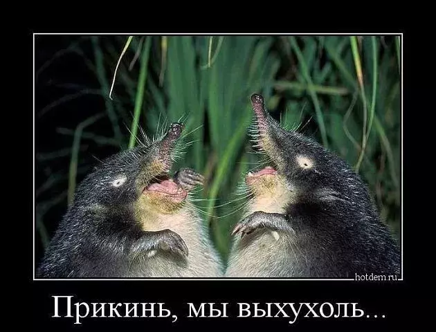 image69.webp