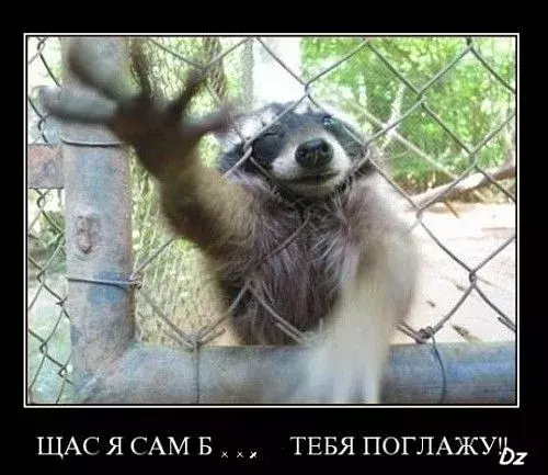 0002650018.webp