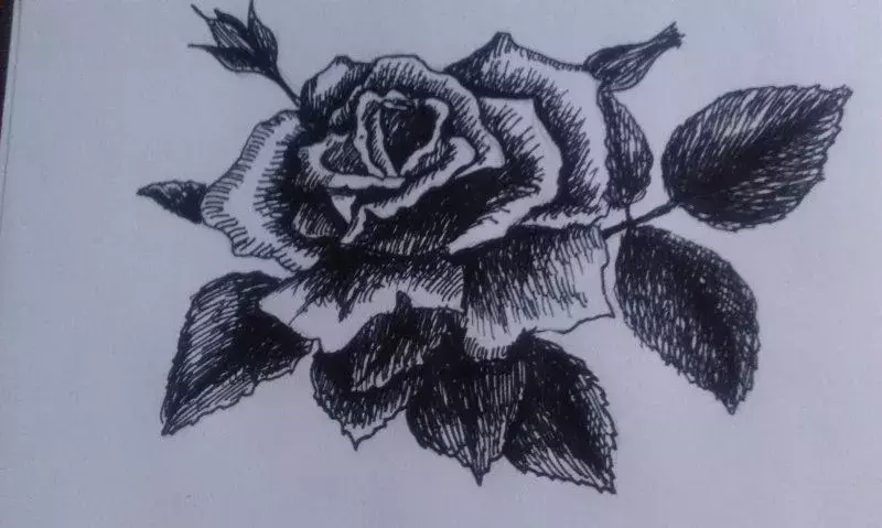 IMAG0796.webp
