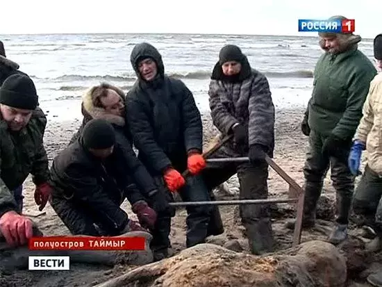 info.sibnet.ru_27913.webp
