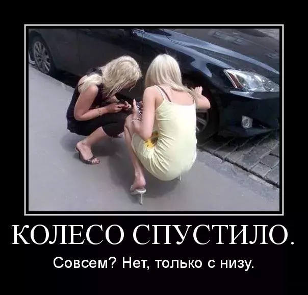 5.webp