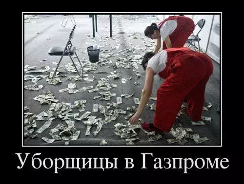 5.webp
