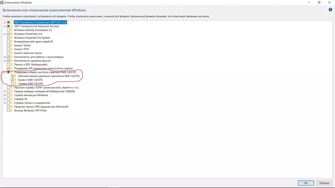 .webp