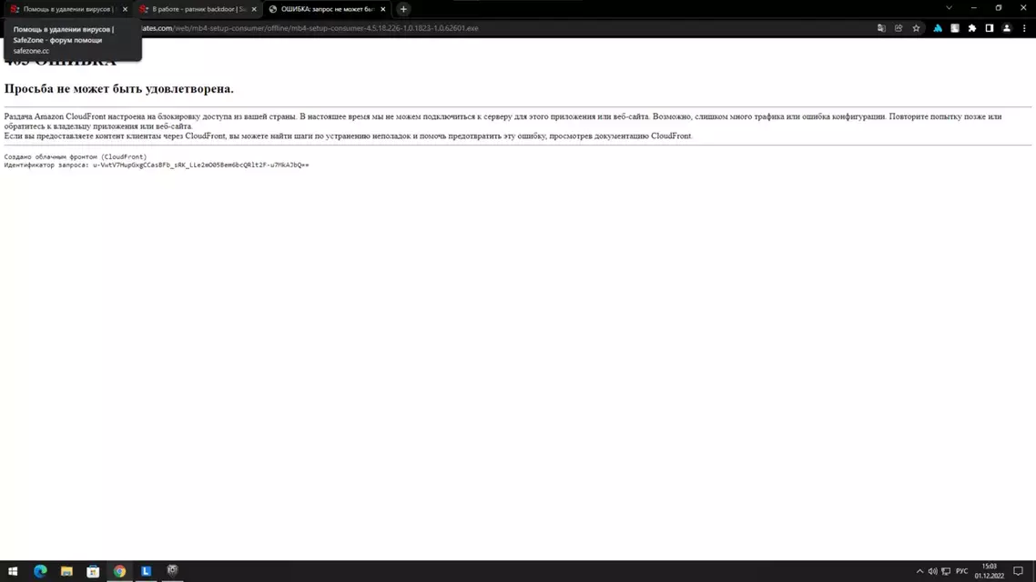 1669896245698.webp