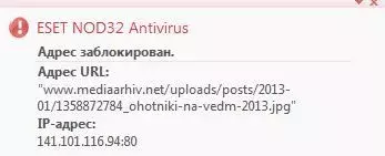 .webp