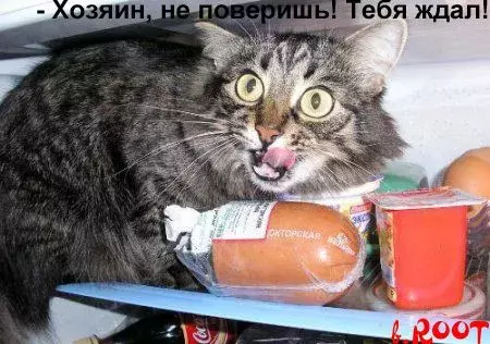 240.webp
