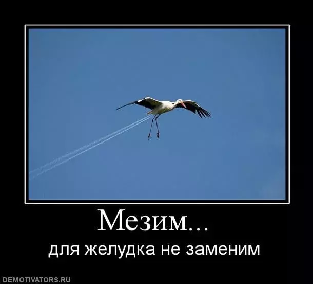 1256218160_demotiv_27.webp