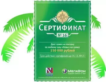 win_sertifikat.webp