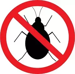 noBugs1.webp