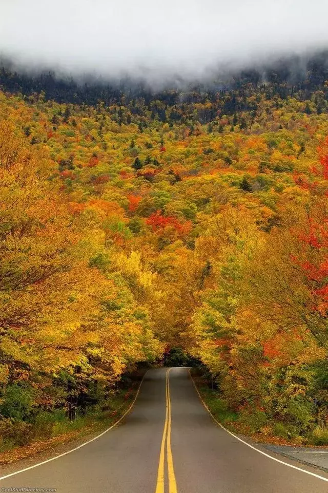 035.webp