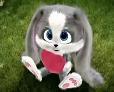 zaya.webp