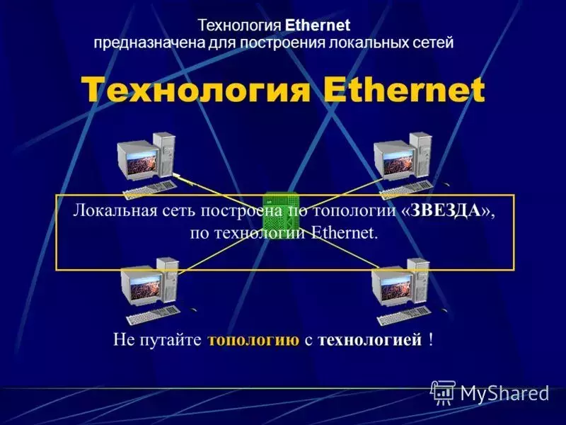 slide_10.webp