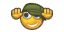 s004.gif