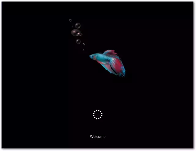 win81.webp