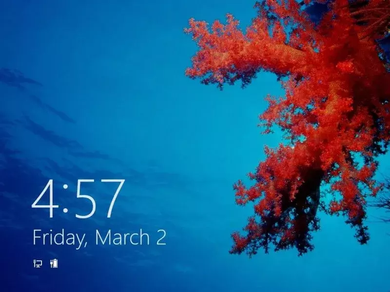 win83.webp