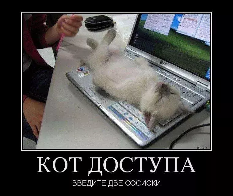 Yb_KJaetpHM.webp