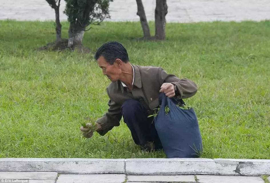 insideNorthKorea19.webp