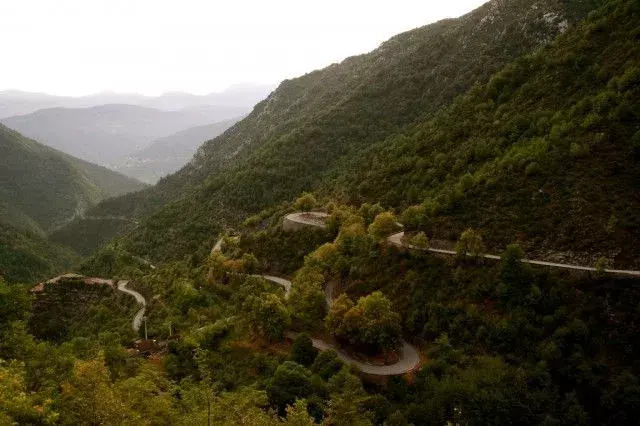 11113-640x426.webp