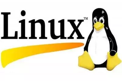 pclinux.webp