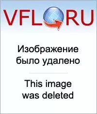 11276821_m.webp