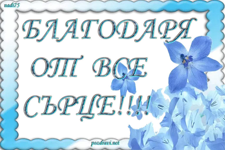 blagodarq.webp