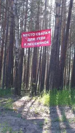1c23f0d5b0afdf18d9a21fb4b4d6cc8e04989377_250.webp