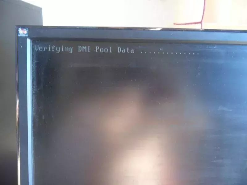 3.webp