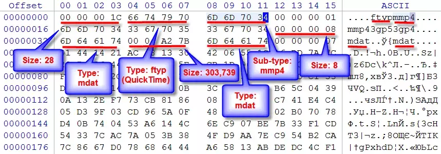 81f513ebce8f41988e627f5bb3148318.webp