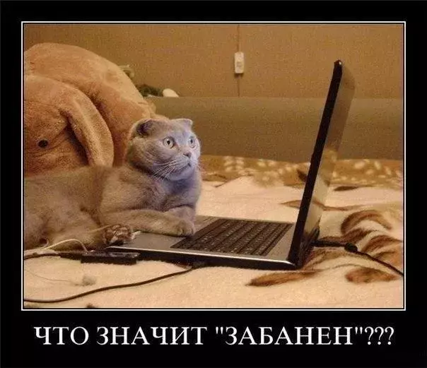 0b7719d1e26e9ac6ebcbb9c1031531ea.webp