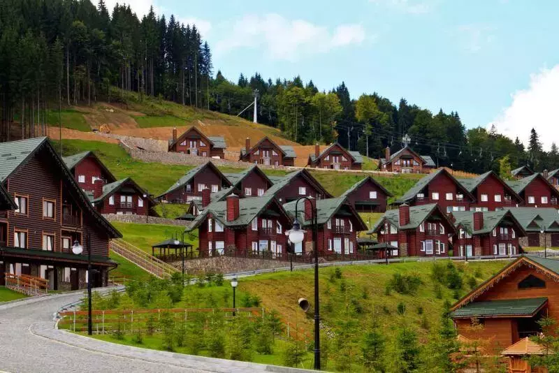05.detskiy-lager-artek-bukovel-lesnoy-s-polyanitsa.webp 05.detskiy-lager-artek-bukovel-lesnoy-s-polyanitsa.webp