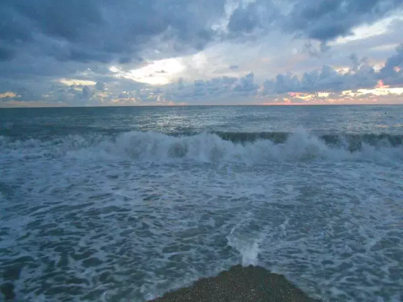 DSCN0217.webp
