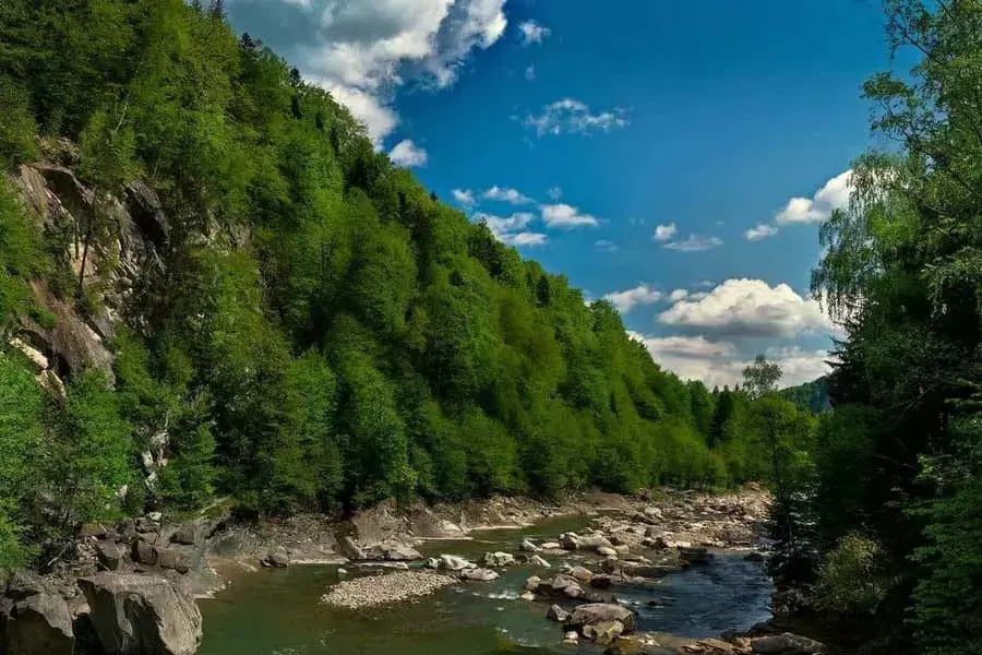 10206211m.webp 10206211m.webp