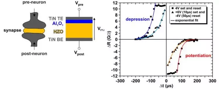 Figure2-1.webp Figure2-1.webp