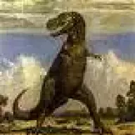 thyrex