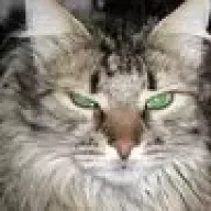 Д.К.