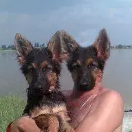 Oleg