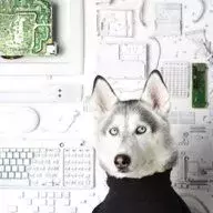 -=Diesel=-