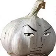 CHESNOK