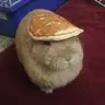 Рандномни пользователь