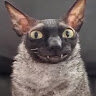 Derger