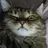 felix_url