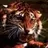evgeniy28